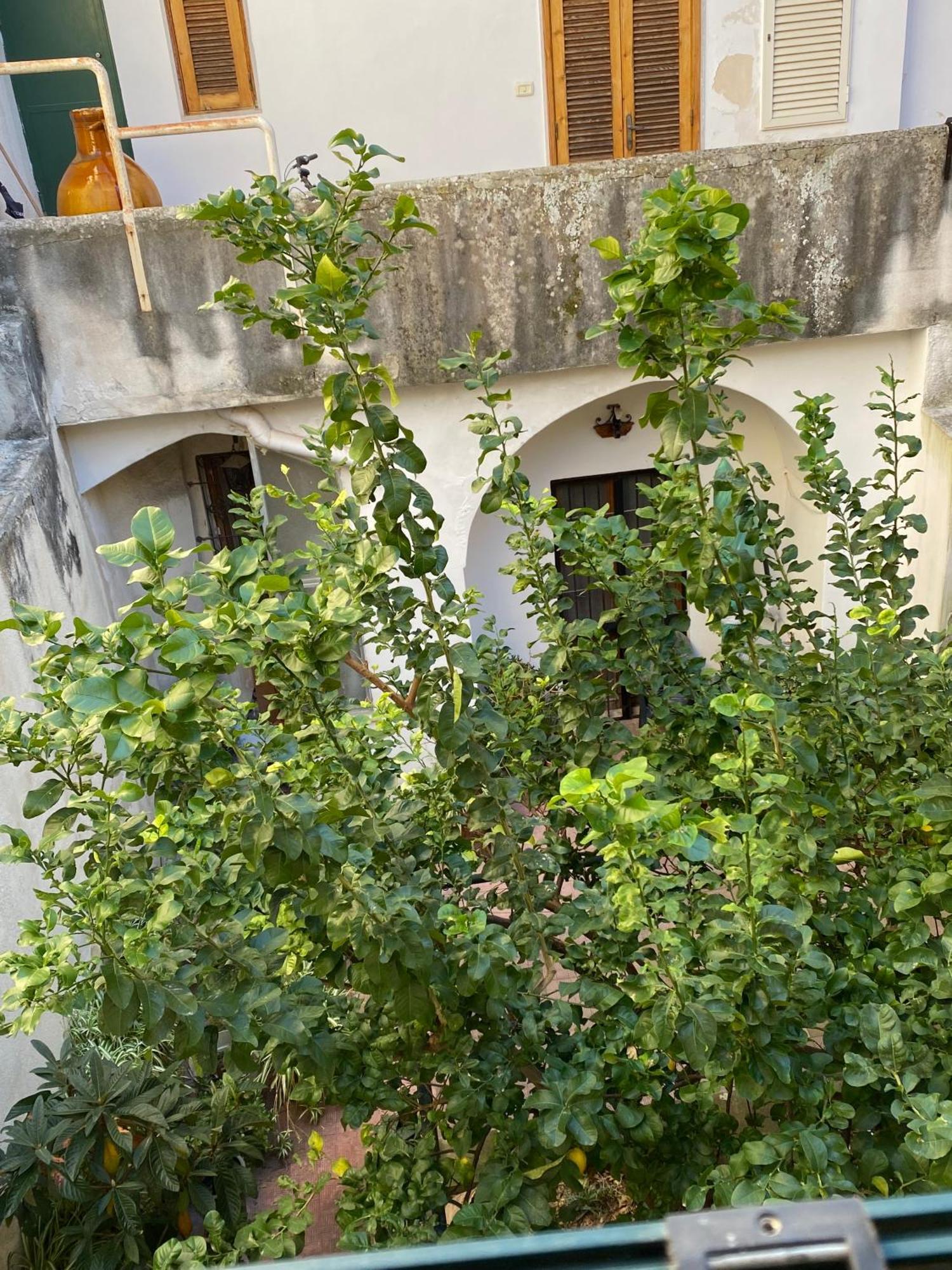 Casetta Zia Tetti Apartment