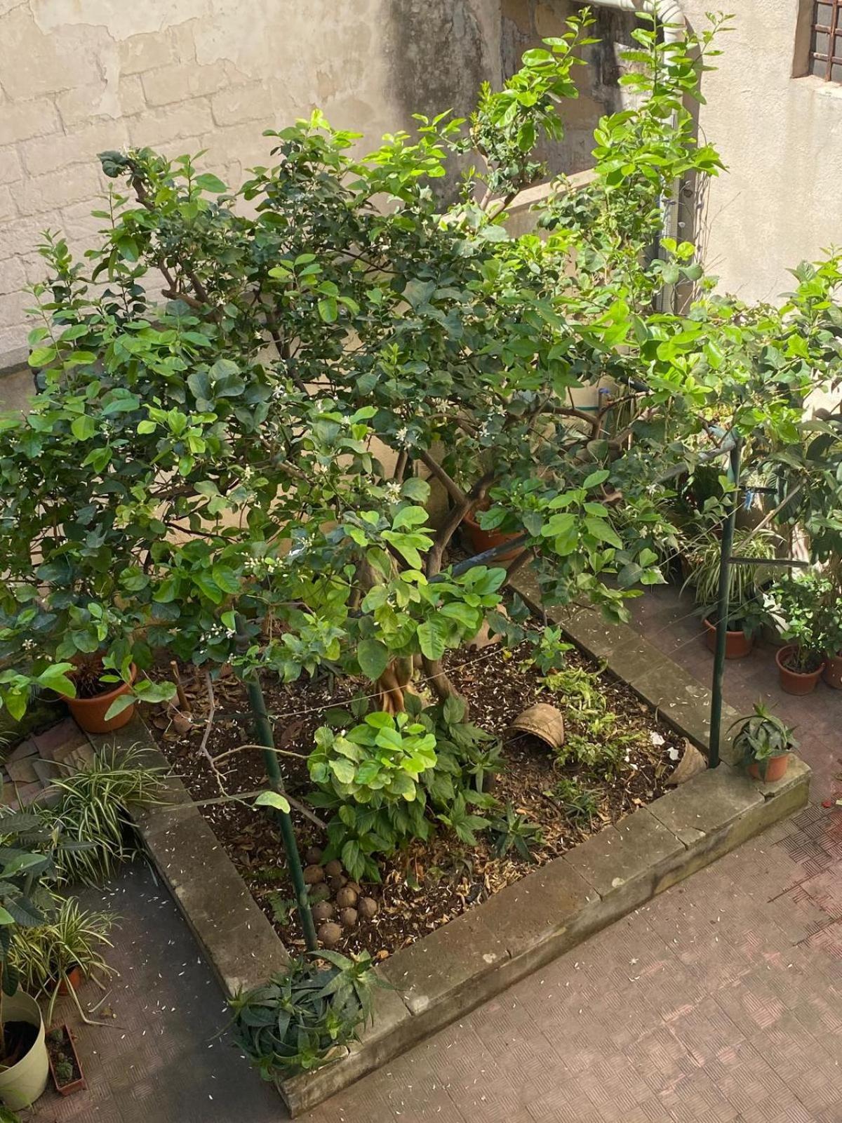 Apartment Casetta Zia Tetti
